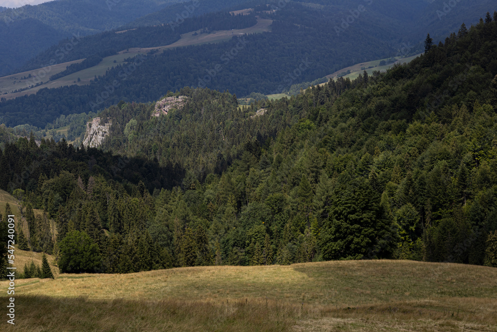 Polskie góry Pieniny wraz z płynącym w dole Dunajcem. Wszystko do okoła miasta Szczawnica.