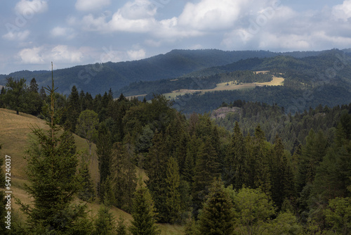 Polskie góry Pieniny wraz z płynącym w dole Dunajcem. Wszystko do okoła miasta Szczawnica.