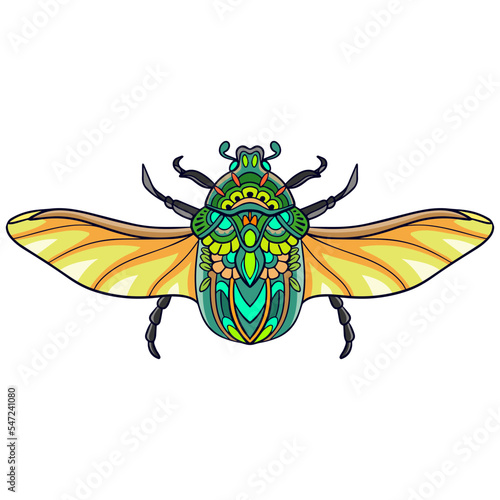 Colorful Beetle mandala arts isolated on white background