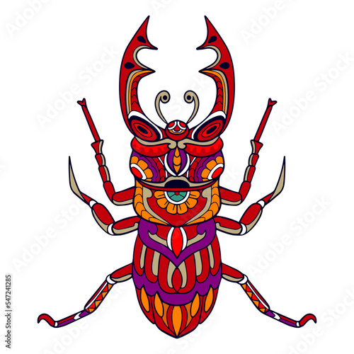 Colorful Beetle mandala arts isolated on white background