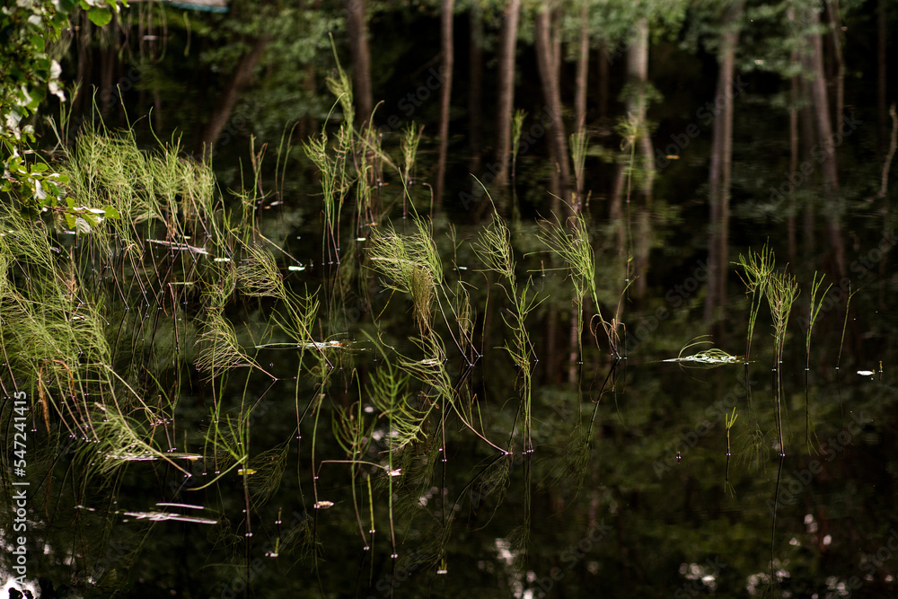 Obraz premium jezioro