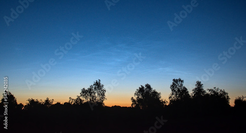 faint noctilucent clouds on the sky in summer - panoramic view