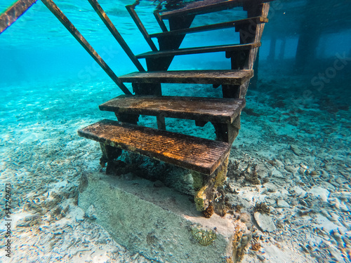 the world under water 