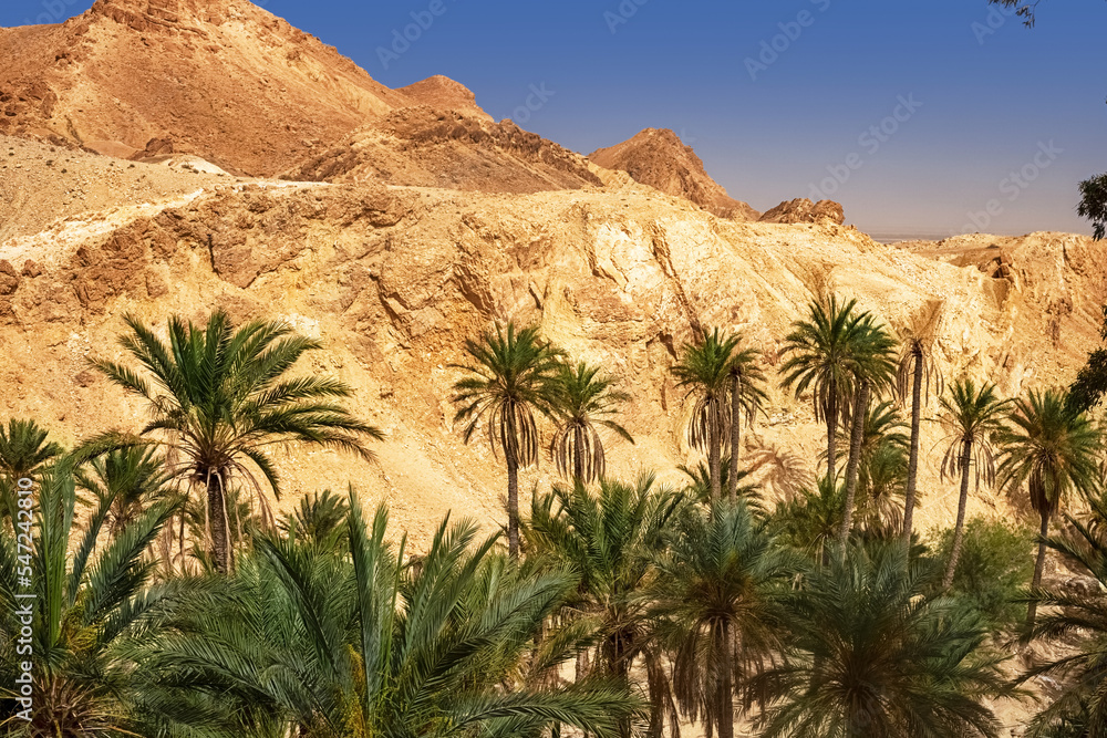 View of the mountain oasis of Shebika, in the middle of the Sahara Desert, Tunisia View of the mountain oasis of Shebika, in the middle of the Sahara Desert, Tunisia