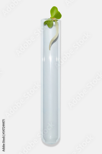 Wallpaper Mural Laboratory glassware with plant sprouts. On a light background. Greens, sprouts, research, bio engineering, study, cultivation. Torontodigital.ca