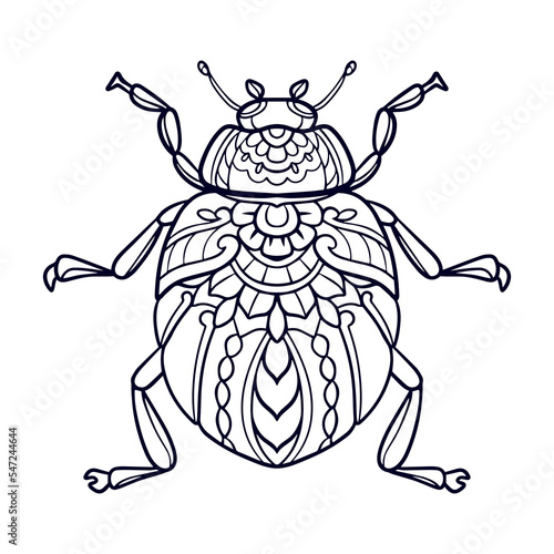 Beautiful Beetle mandala arts isolated on white background
