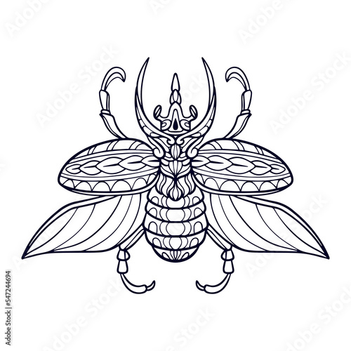 Beautiful Beetle mandala arts isolated on white background