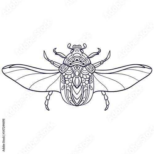 Beautiful Beetle mandala arts isolated on white background
