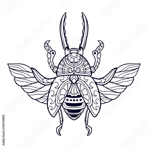 Beautiful Beetle mandala arts isolated on white background