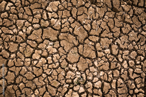 Cracked ground caused by dryness, dehydrated clay soil, ill effects of the dry summer season