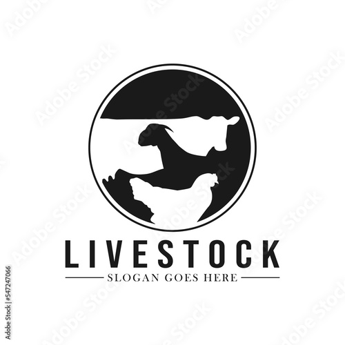 Livestock logo design. Farm animal logo template. Vector illustration concept