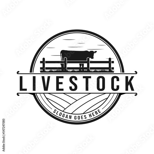 Vintage cattle farm logo with silhouette cows and ranch fence. Vector illustration.