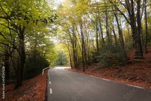 Mountain road in autumn with fallen leaves, Monteny Natural Park, Catalonia, Spain photo