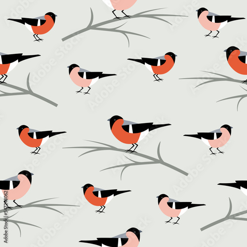 Seamless pattern with bullfinches sitting on branches.