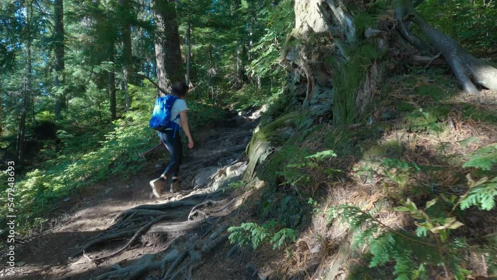 Adventurous Woman Hiker on a hiking trail at top of Canadian Mountain Landscape. St. Mark's Summit near Vancouver, BC, Canada. Slow Motion Cinematic Adventurous Woman Hiker on a hiking trail at top of Canadian Mountain Landscape. St. Mark's Summit near Vancouver, BC, Canada. Slow Motion Cinematic