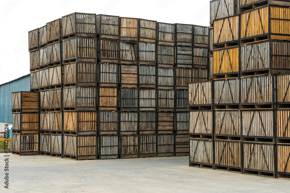 rows of wooden crates, crates and pallets for storing and transporting
