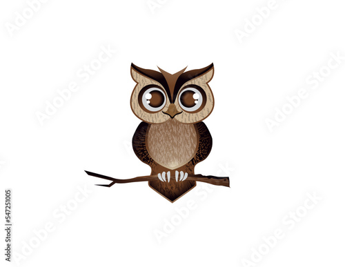 Logo  design for owl