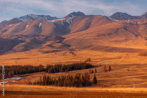 Beautiful landscape road in autumn forest with snow peaks mountains Chuysky tract, Altai Kurai steppe Russia.