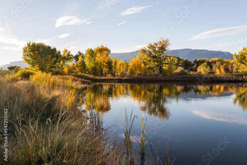 Beautiful autumn lake landscape. Golden fall colors foliage is reflected in the calm water © Victoria