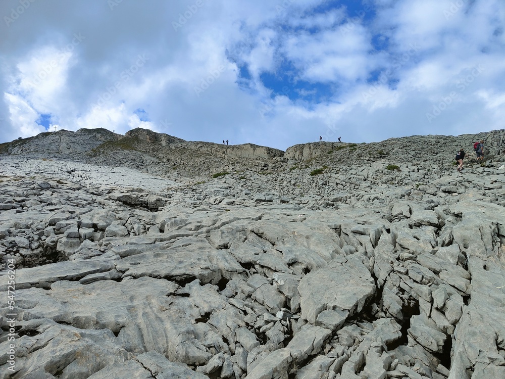 Obraz premium Steinlandschaft