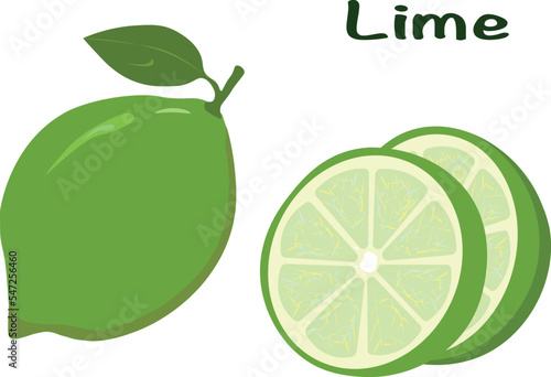 lime and lemon. Vector lime slice green illustration lemon isolated half fruit lime. Fresh green cut citrus icon