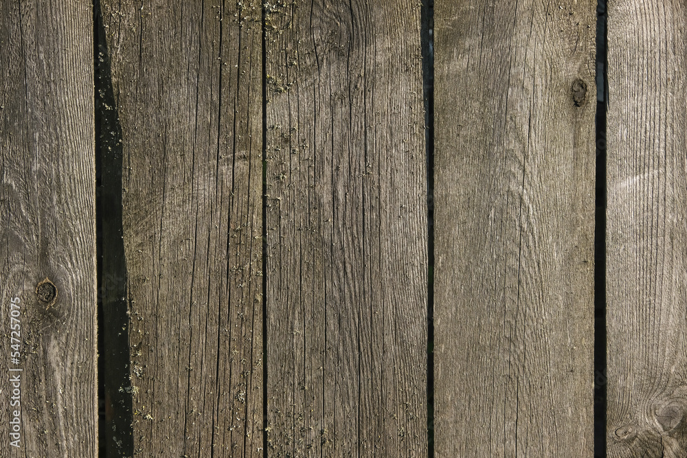 Fototapeta premium Wooden texture with vertical lines. The texture of wood with knots and holes. The background of a wooden fence damaged by time. The texture of a tree with moss.