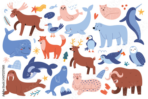 Northern animals, pole reindeer and moose, Antarctic and arctic mammals from Alaska, blue whale character, cute polar bear, snow leopard and baby harp seal, flat vector illustrations collection