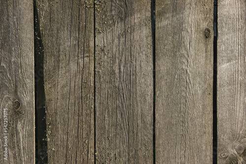 Wooden texture with vertical lines. The texture of wood with knots and holes. The background of a wooden fence damaged by time. The texture of a tree with moss.