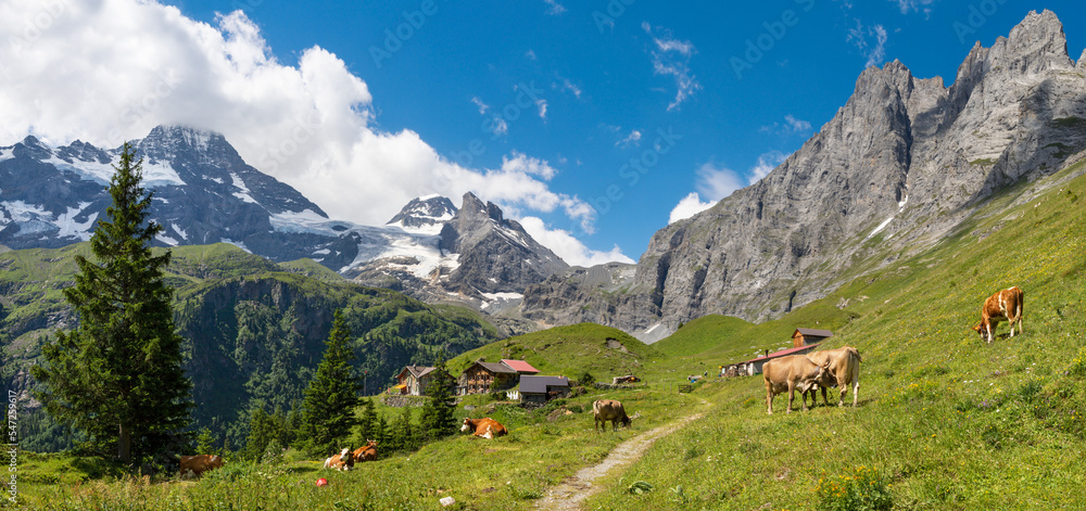 The Hineres Lauterbrunnental valley with the Breithorn and Wetterlucke peaks - hotel Obersteinberg.
