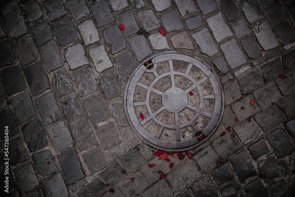 dark palalepiped floor texture with telephone manhole cover and red leaves