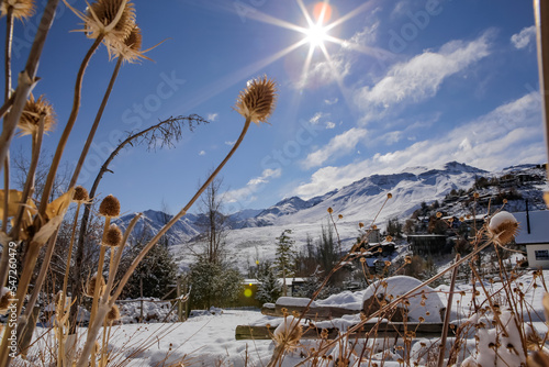 Paisagem de inverno com neve e montanhas ao fundo com flores e casas cobertas por gelo natal photo
