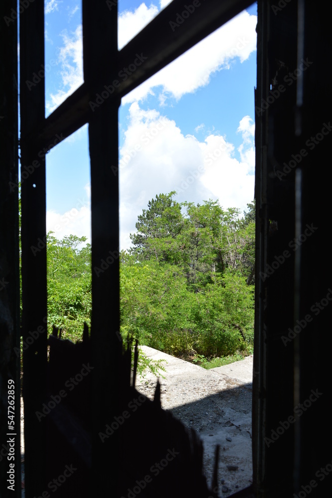 Fototapeta premium Window view