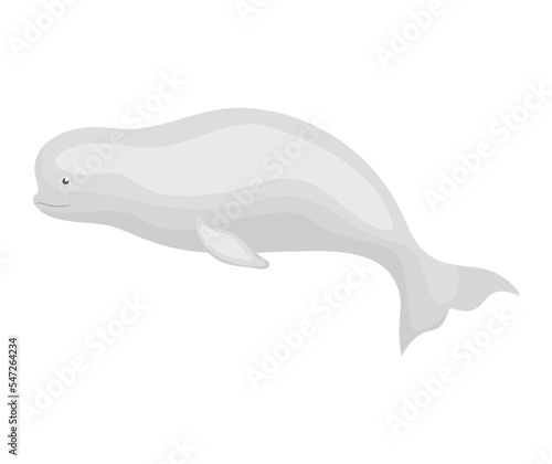 gray beluga icon