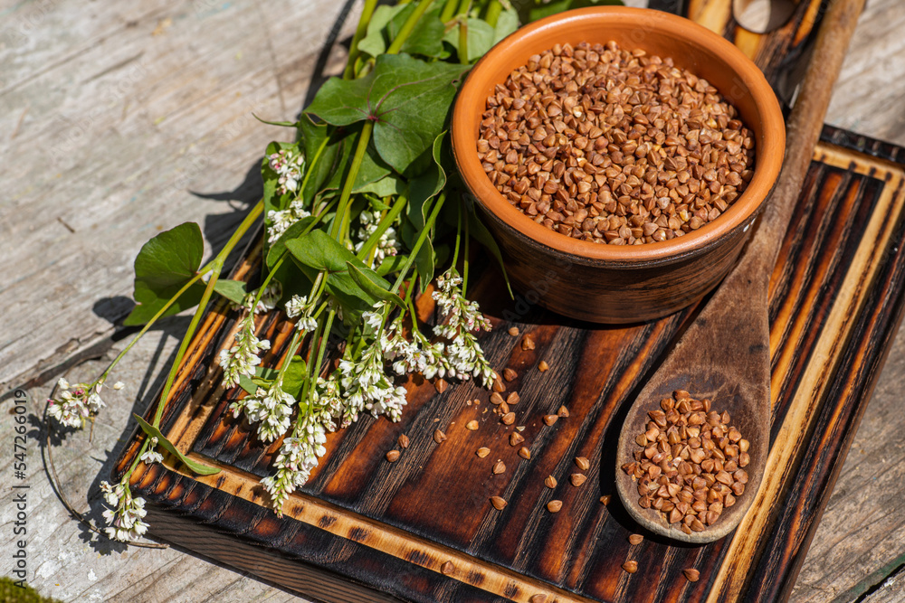 A bunch of dry buckwheat in a spoon. Ingredient for cooking dietary food. Flowering buckwheat grown on farmland without pesticides. A bunch of dry buckwheat in a spoon. Ingredient for cooking dietary food. Flowering buckwheat grown on farmland without pesticides.