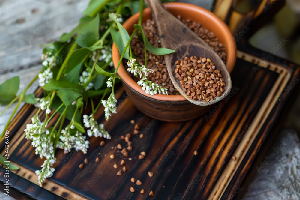 A wooden spoonful of fried buckwheat on a clay plate full of dry cereals with gluten. Blooming fresh Fagopyrum flowers, a good honey plant. Dietary granules of an edible nutritious vegetable. A wooden spoonful of fried buckwheat on a clay plate full of dry cereals with gluten. Blooming fresh Fagopyrum flowers, a good honey plant. Dietary granules of an edible nutritious vegetable.