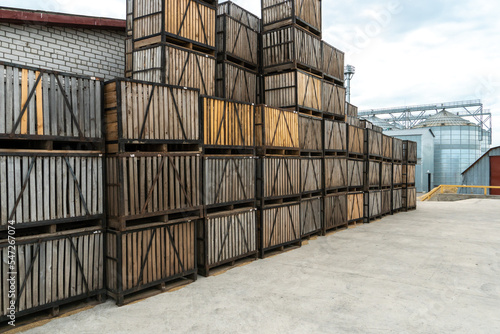 rows of wooden crates, crates and pallets for storing and transporting fruits and vegetables in the warehouse. production warehouse on the territory of the agro-industrial complex.