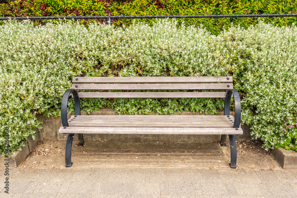 Bench in Park with residential background.