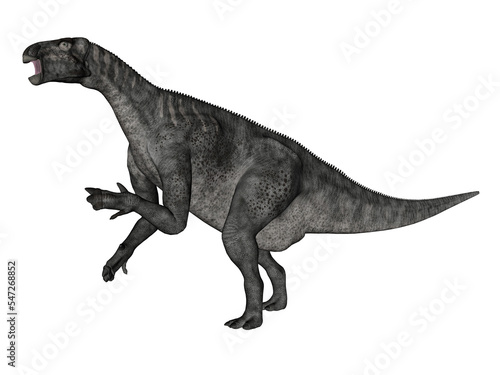 Iguanodon dinosaur roaring while walking - 3D render © Elenarts