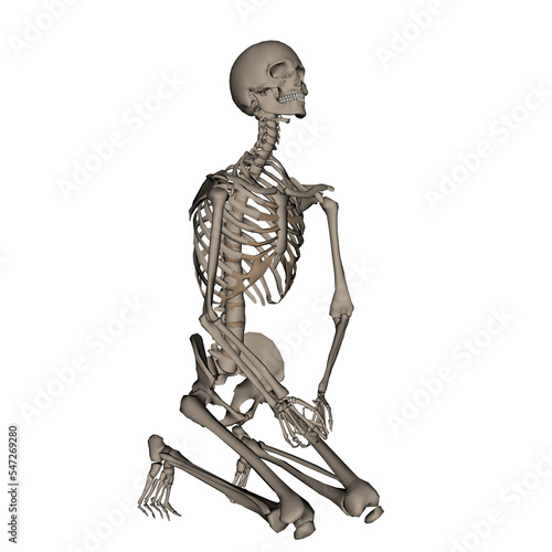 Human skeleton praying on his knees - 3D render
