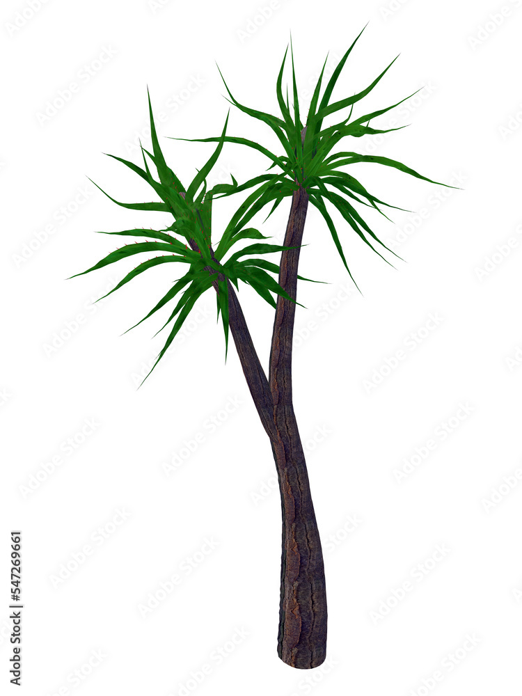 Obraz premium Aloe barberae tree, a. bainesii - 3D render