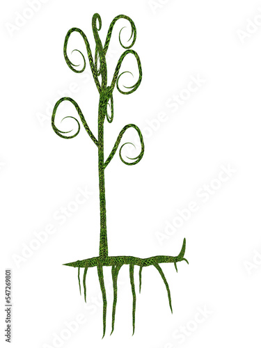Asteroxylon mackiei prehistoric plant - 3D render photo