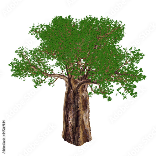 Fotobehang Baobab tree, adansonia digitata - 3D render
