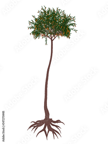 Lepidodendron aculeatum prehistoric tree - 3D render photo