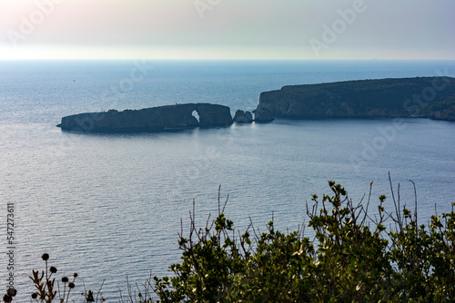 The island of Sfaktiria near the town of Pylos in Peloponnese, Greece photo