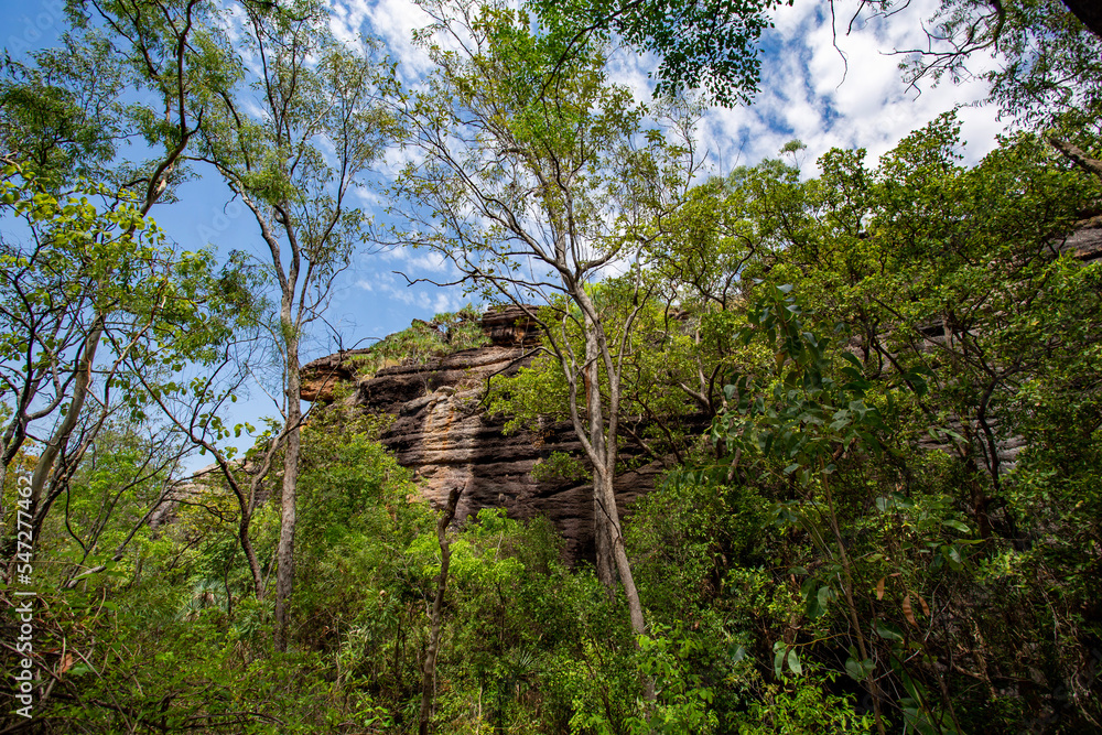 Kakadu Burrungkuy (Nourlangie) Escarpment Kakadu Burrungkuy (Nourlangie) Escarpment