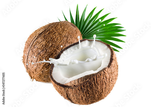 Stampa su tela Popular coconuts with health benefits png.