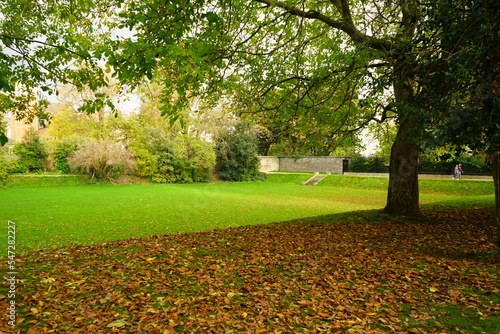 Autumn Colorful Foliage and Leaves at Iveagh Gardens Park in Dublin, Ireland
