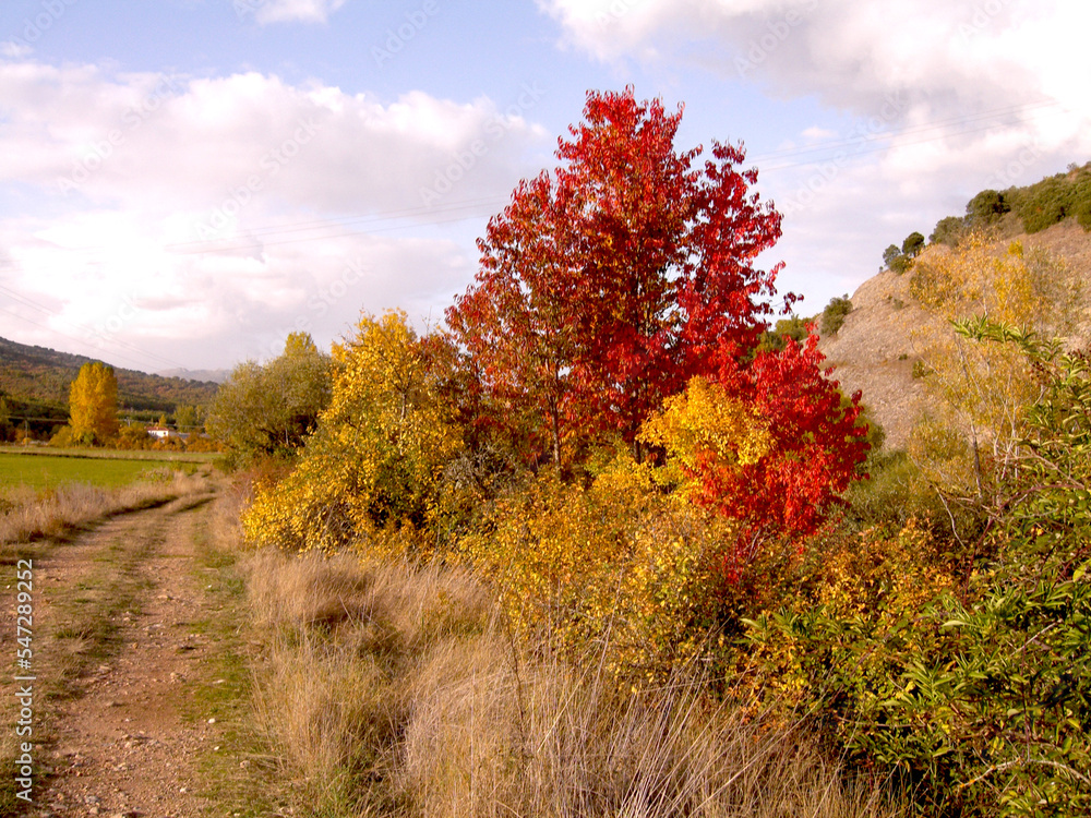 autumn in the mountains