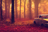 abandoned old car in autumn forest