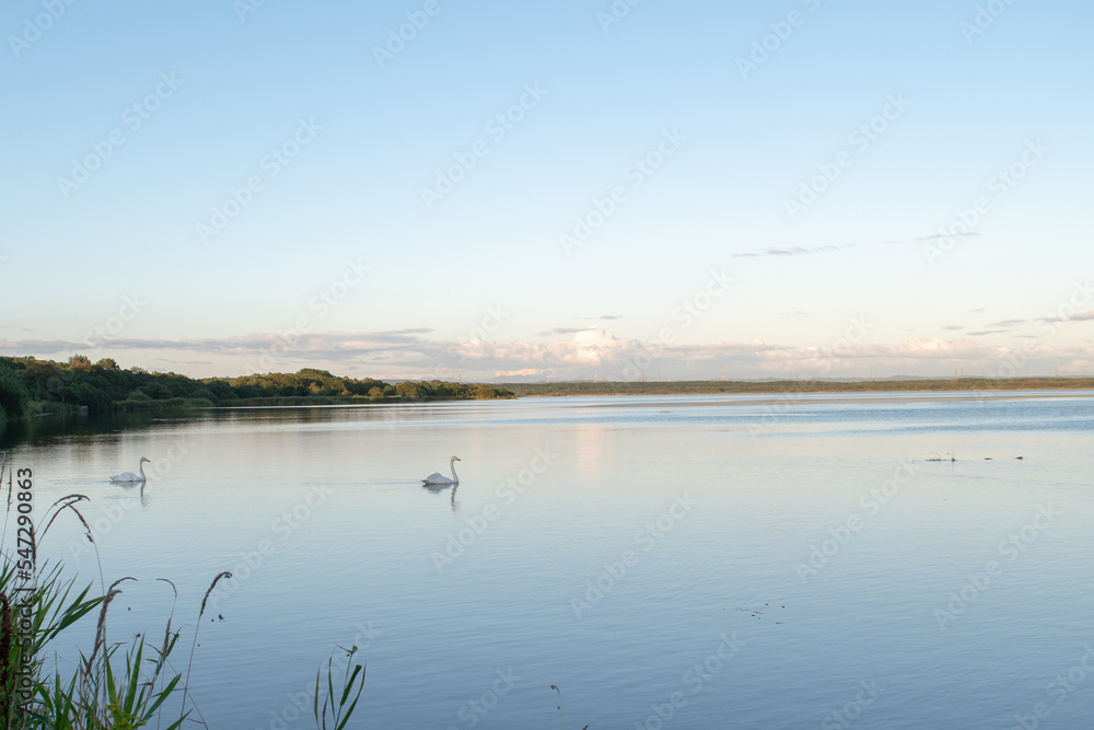 Fototapeta premium lake in the morning